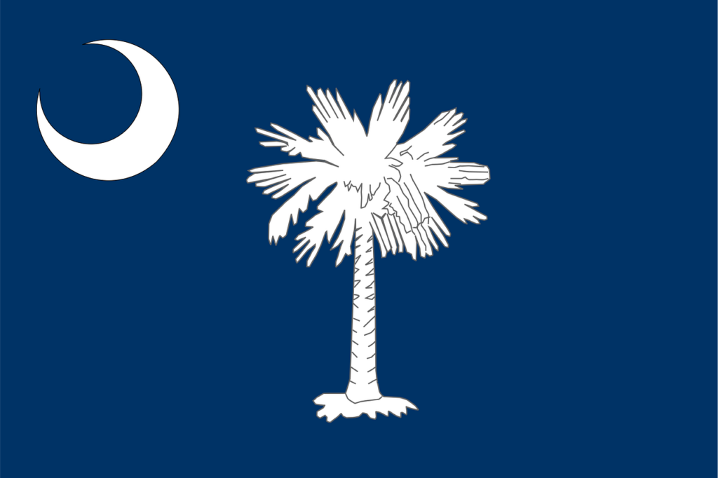 flag, south carolina, state, palm tree, crescent, palmetto, blue, white, tree, nature, moon, symbols, blue moon